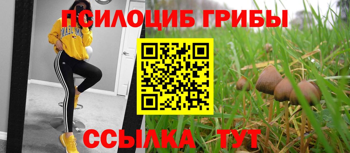 Галлюциногенные грибы Psilocybine cubensis  Вход с VPN  Лысьва 